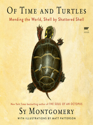 cover image of Of Time and Turtles
